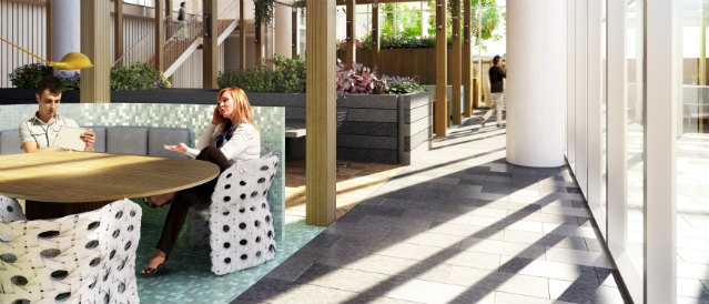 Photo of interior of Adelaide office looking across table, full length windows and indoor plants.